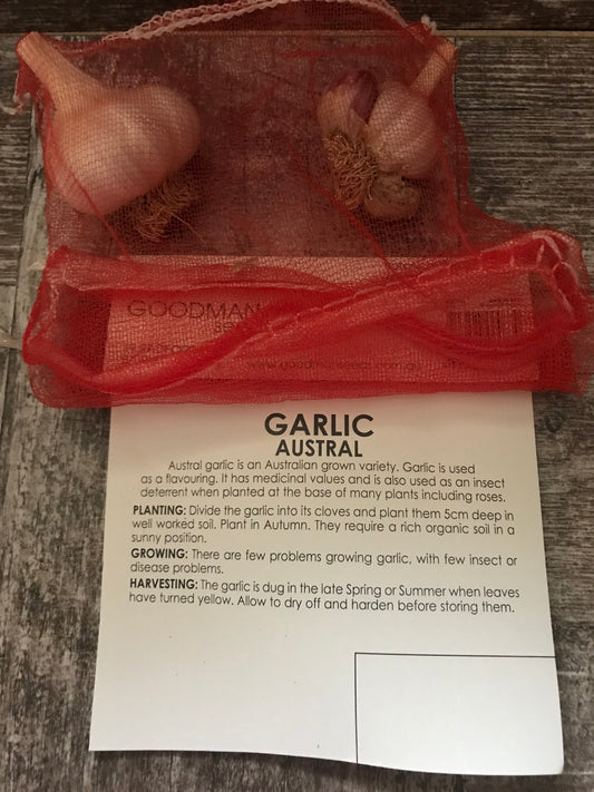 Austral Garlic Bulbs