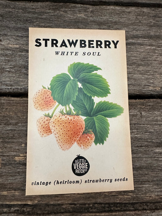 Strawberry (White Soul) - Vintage Heirloom Little Veggie Patch co