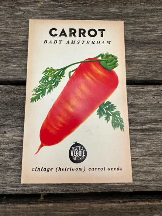 Carrot (Baby Amsterdam) - Vintage Heirloom Little Veggie Patch co