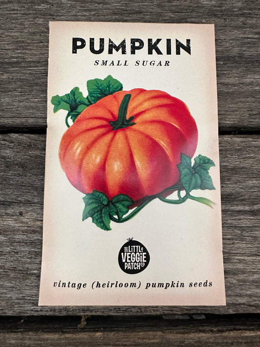 Pumpkin (small sugar) - Vintage Heirloom Little Veggie Patch co