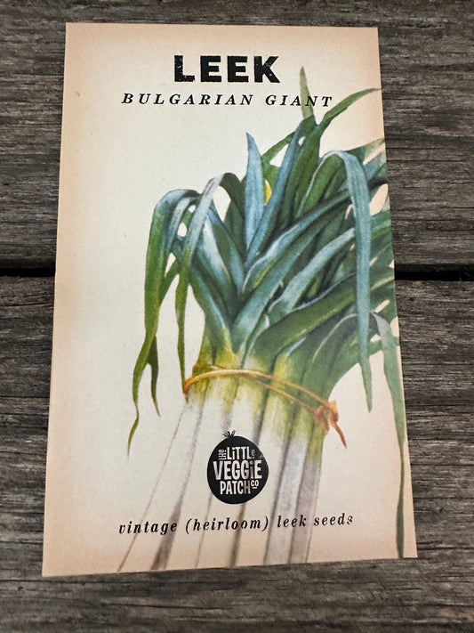 Leek (Bulgarian Giant) - Vintage Heirloom Little Veggie Patch co