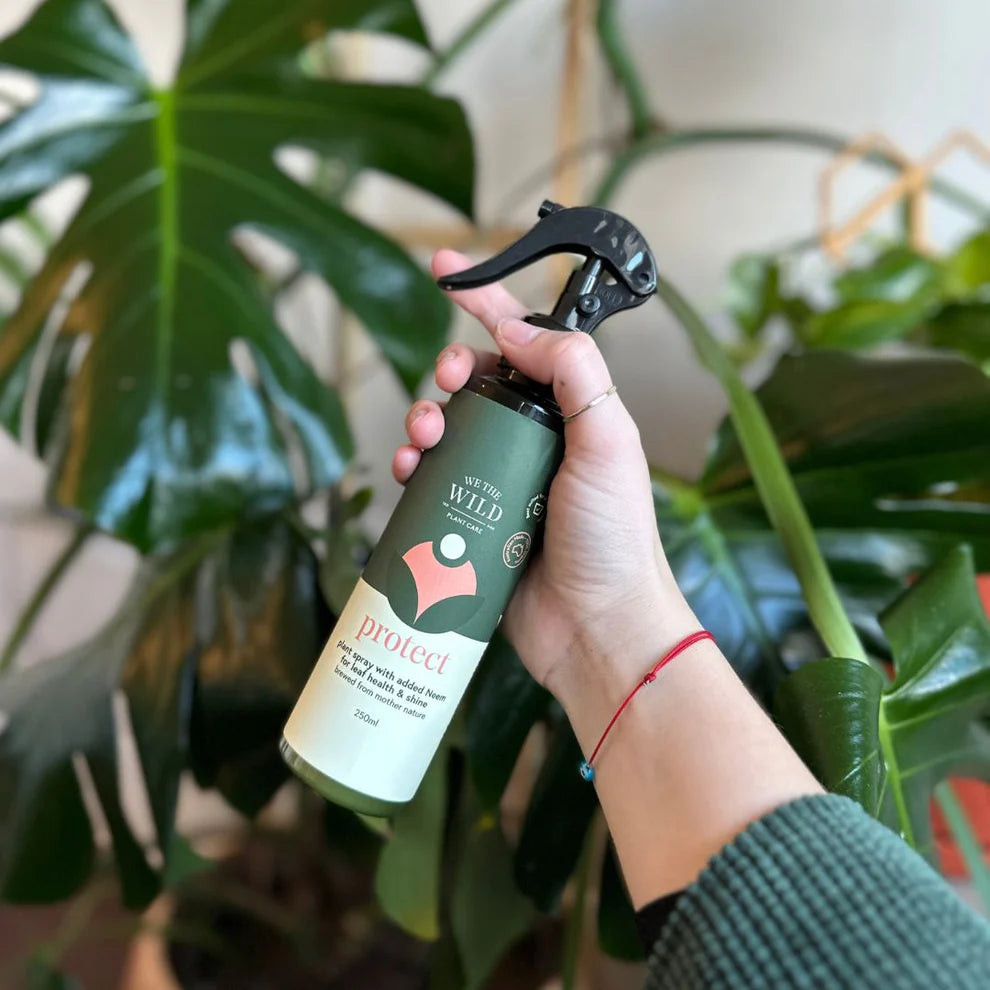We The Wild Leaf Health Duo Pack